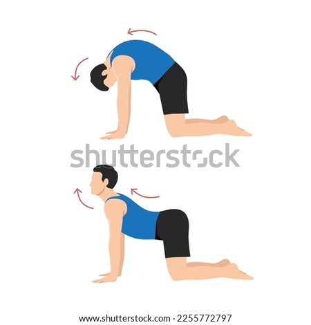 Man doing Yoga. cat cow pose stretch exercise. Flat vector illustration isolated on white background Royalty-Free Stock Photo #2255772797