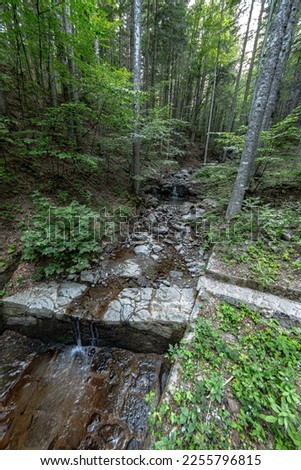 Small stream in the middle of the woods