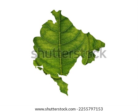 Montenegro map made of green leaves on soil background ecology concept