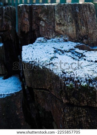 the stump is covered with snow. the wood is covered with frost. a natural scene for product presentation. natural background for cosmetic products.