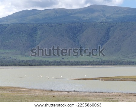 Ngorongoro crater landscape in Tanzania