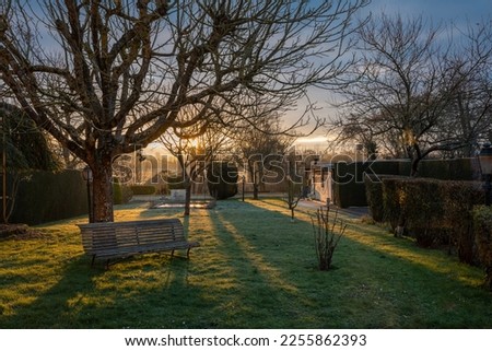Sunset in a garden by the river with trees, lampposts and wooden bench