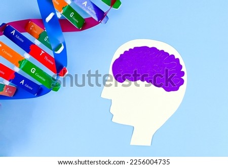 DNA (deoxyribonucleic acid) relates Brain Basics, Genes At Work In The Brain health, brain disorder. Healthcare and medical lifestyle. Royalty-Free Stock Photo #2256004735