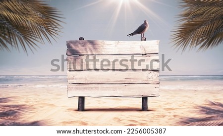 Old wooden sign and funny seagull on the beach, summer vacations concept