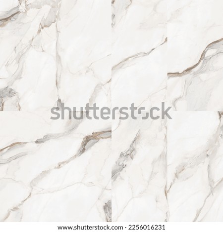the best tiles marble in morbi