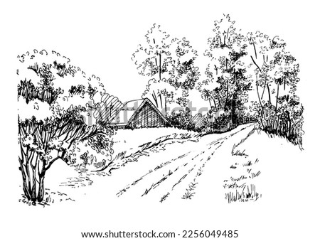 Green grass field on small hills. Meadow, alkali, lye, grassland, pommel, lea, pasturage, farm. Rural scenery landscape panorama of countryside pastures. Vector sketch illustration