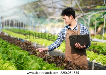 Asian oman farmer looking organic vegetables and holding tablet, laptop for checking orders or quality farm in morning light
