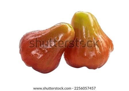Rose apples isolated fresh on white background. Rose apples are sweet and red or green, water droplets on fresh skin.					