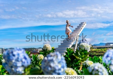 Young woman traveler enjoying with blooming hydrangeas garden in Dalat, Vietnam, Travel lifestyle concept Royalty-Free Stock Photo #2256093093