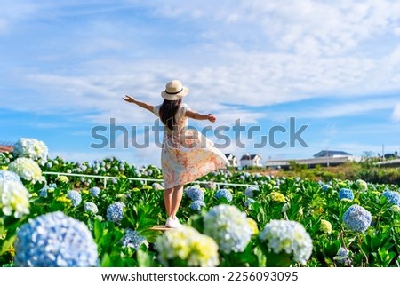 Young woman traveler enjoying with blooming hydrangeas garden in Dalat, Vietnam, Travel lifestyle concept Royalty-Free Stock Photo #2256093095