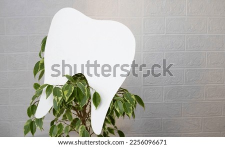White paper tooth on ficus branches. The concept of Dentist's Day, Dentist's Day
