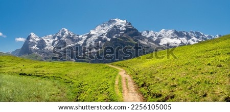 The panorma of Bernese alps with the Monch, Eiger and Jungfrau and too Gletscherhorn, Ebenfluh, Mittaghorn  Grosshorn peaks over the alps meadows from Hinteres Lauterbrunnen valley. Royalty-Free Stock Photo #2256105005