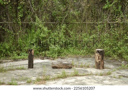 Selected focus photo of weathered logs on cement floor with blurred background