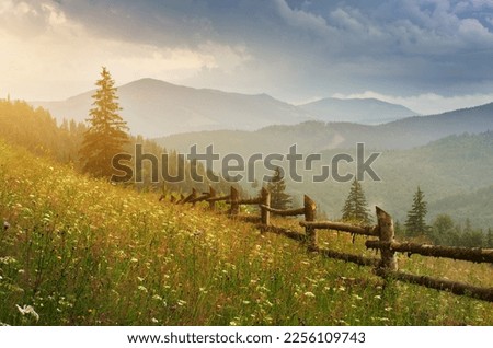 Carpathian mountain forest at early morning sunrise. Beautiful nature landcape.