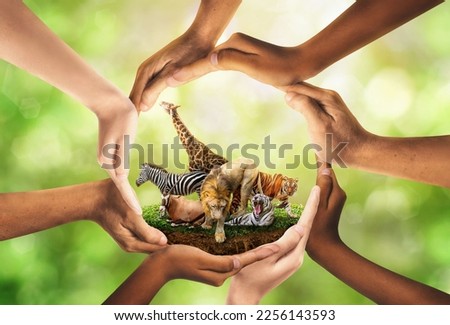 Wildlife Conservation Day. wildlife protection, multiracial human come to build hands in shape of circle to protect the environment. promote conservation wildlife. green background Sun light. Ecology. Royalty-Free Stock Photo #2256143593