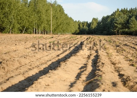 A plowed agricultural field on the edge of the forest prepared for sowing