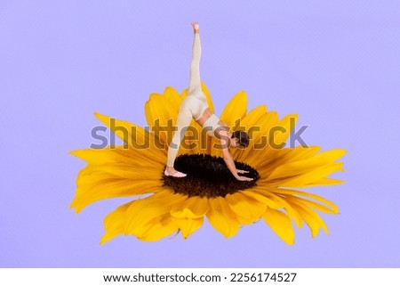 Photo collage artwork minimal picture of charming lady practicing yoga inside flower isolated drawing background