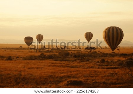 Air balloons during sunrise above Masai Mara in Kenya.  Royalty-Free Stock Photo #2256194289