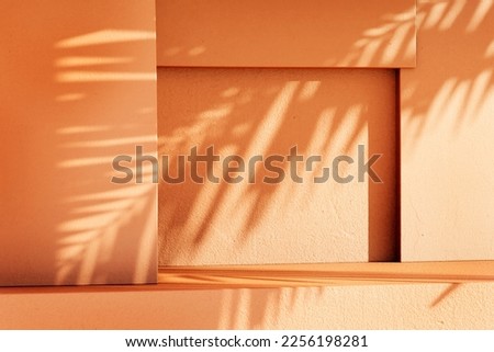 Minimal product placement background with palm shadow on plaster wall. Luxury summer architecture interior aesthetic. Creative boho concept home product platform stage mockup Royalty-Free Stock Photo #2256198281