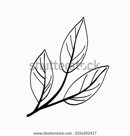 Simplicity floral freehand drawing flat design.Vector illustration.