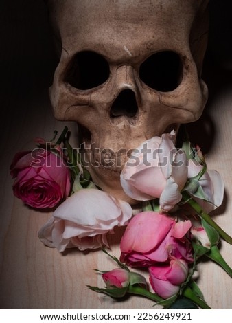 Human skull and beautiful pink roses, Gothic style, dark romance. Royalty-Free Stock Photo #2256249921
