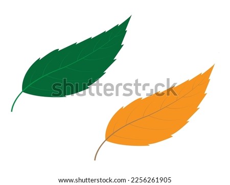 Leaf vector design and clip art.