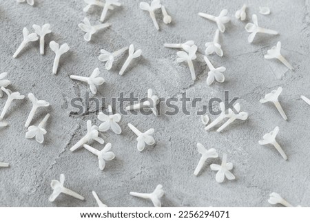 Fresh white lilac blossom flowers on gray background. Spring concept. Minimalist floral flat lay, top view, copy space