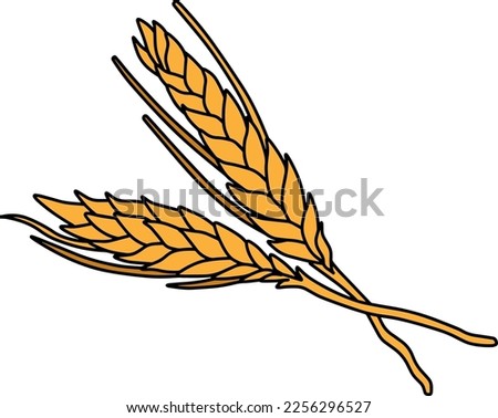 wheat grain color vector illustration isolated on white background