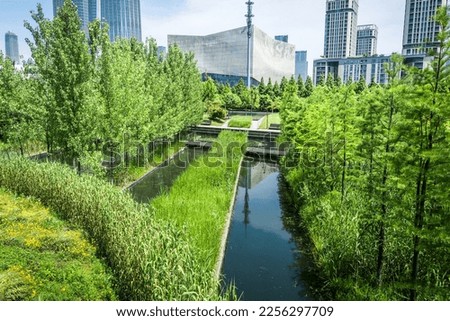 Beautiful city park in front of modern city buildings