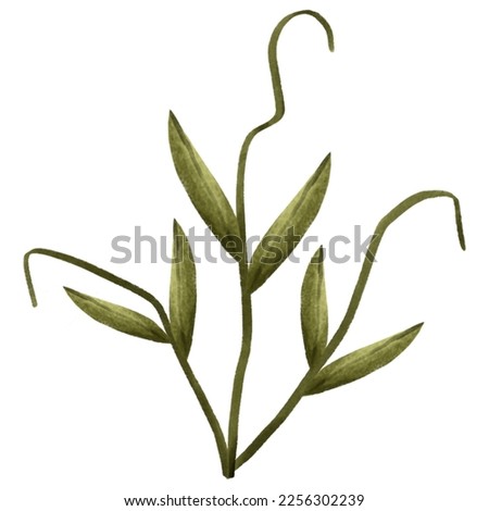 plant illustration in simple design