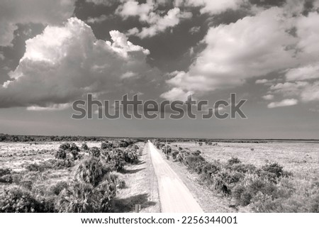 Dirt Road , Summer sky, Perspective