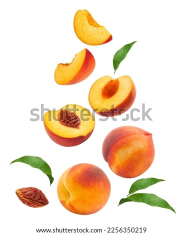 Levitating peach isolated. Composition of peaches, peach halves and slices with green leaves on a white background. Royalty-Free Stock Photo #2256350219