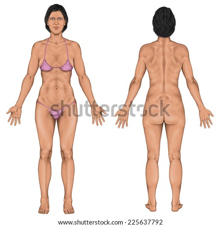 Woman, women, female anatomical body, surface anatomy, human body shapes, a...