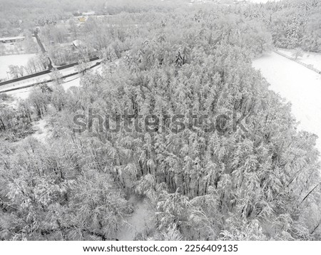 Aerial view landscape. Winter, snow, path, trees, forest.