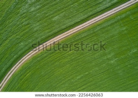 Aerial view of a country winding road through a green field in summer in rural Italy
