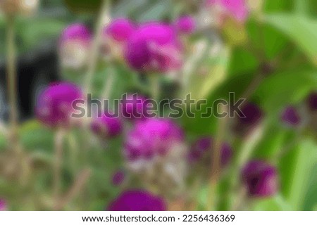 Blurry Colored Floral Background Of Gomphrena Globosa. Art Image. Spring Season Concept. Defocused.