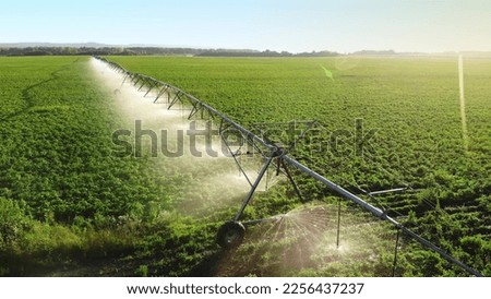 Aerial view pivot at work in potato field, watering crop for more growth. Center pivot system irrigation. Watering crop in field at farm. Modern irrigation system for land and vegetables growing on it Royalty-Free Stock Photo #2256437237