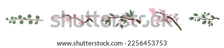Set of spring tree branches with pink flowers and green leaves o
