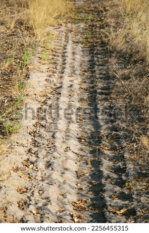 Tire tracks left on unpaved sandy road