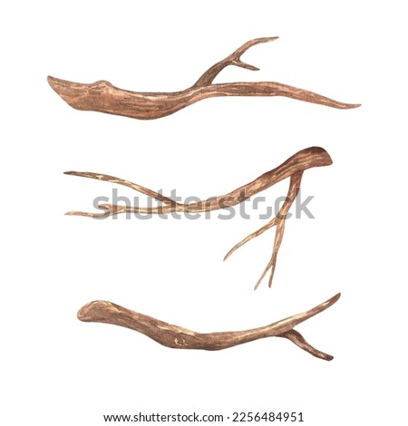 A set of small branches without leaves. Watercolor illustration. Brown dry straight twig. Isolated on a white background. For rustic print design, eco friendly packaging, vintage stickers.