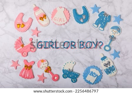Boy or girl.A set of delicious baby shower cookies on a colorful background. Gender cookies.Baby shower party. Close-up. Flat lay. Place for text.