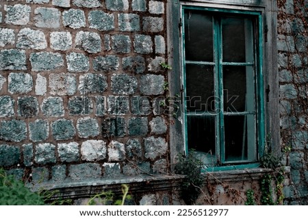 old ancient abandoned building, mysterious wooden blue window, stone bricks walls covered with green and dry ivy creeping plant
