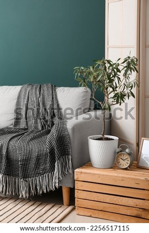Wooden box with houseplant, alarm clock, frame and sofa in living room