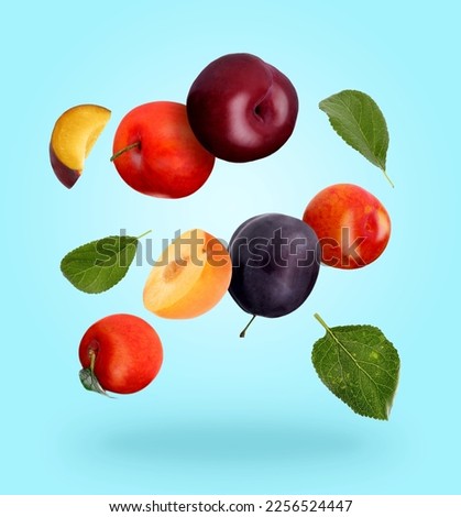 Different fresh plums and green leaves falling on light blue background