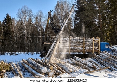 Work of grapple loader crane on timber truck while loading pine logs on winter day. Royalty-Free Stock Photo #2256535423