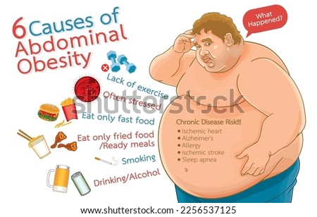 Infographic illustration of 6 causes of abdominal obesity,chronic disease risk,health problems of obese people,isolated on white background.Health care in obese ,overweight people,Unhealthy Lifestyle Royalty-Free Stock Photo #2256537125