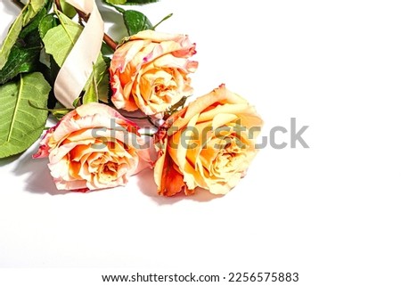 Bouquet of fresh delicate roses isolated on white background. Romantic gift concept, gentle flowers. Mothers, Valentines, or Woman's Day. Mockup, template, greeting card, flat lay