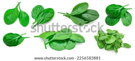 Fesh green baby spinach leaves isolated on white background. Espinach Set. Pattrn. Flat lay. Spinach Food concept.  Royalty-Free Stock Photo #2256583881