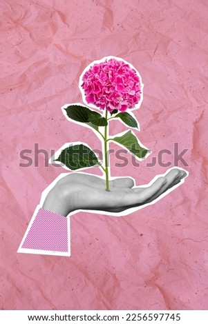 Vertical collage image of black white colors arm palm hold growing beautiful flower isolated on drawing pink background