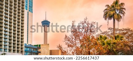 San Antonio Texas city skyline with warm glowing golden clouds, the Tower of Americas, and dried sycamore tree foliage and palm trees in winter